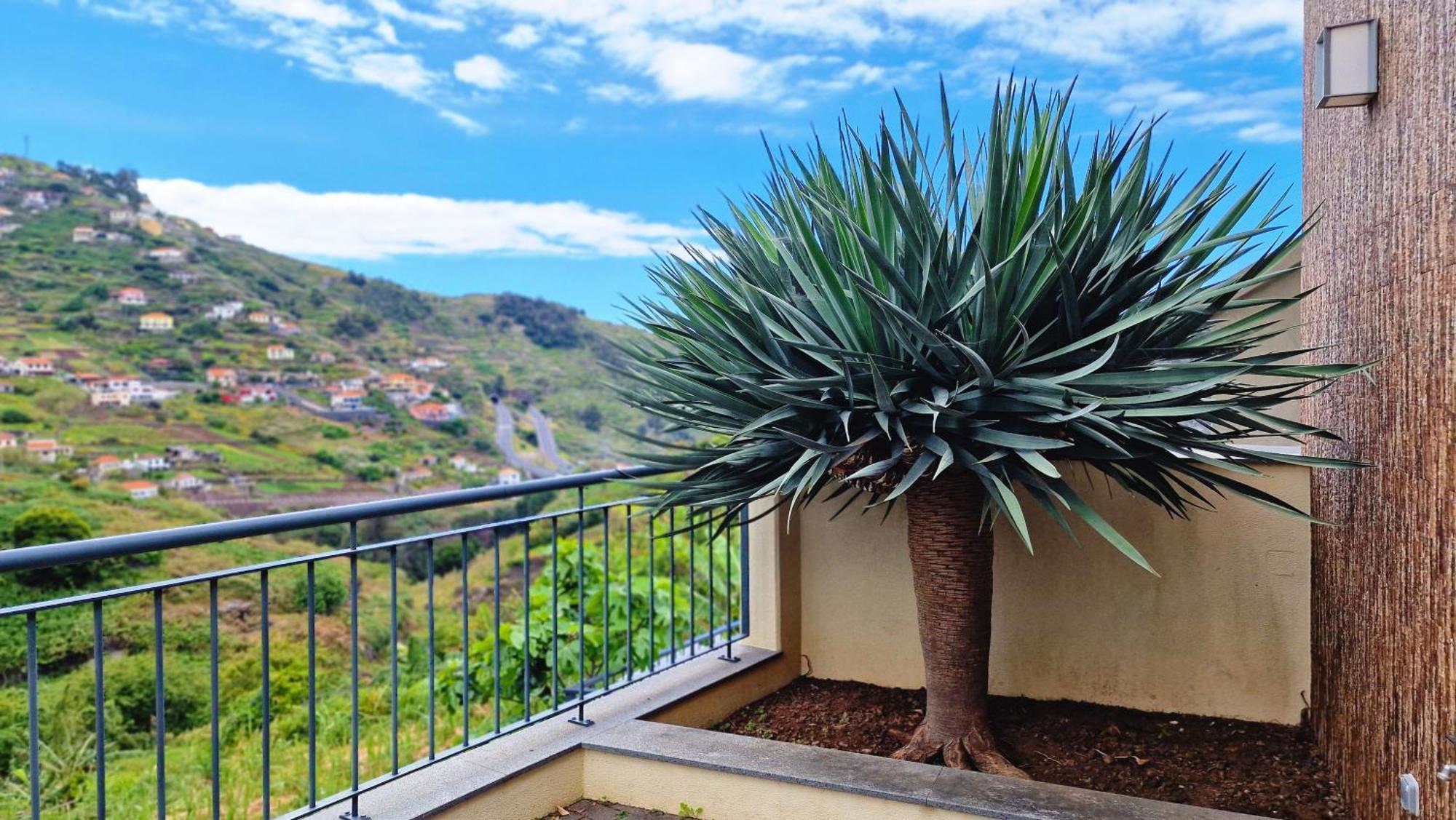 Capela'S House By Lovelystay Ribeira Brava Εξωτερικό φωτογραφία